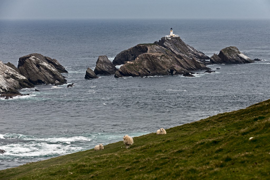 Shetland 249 copia